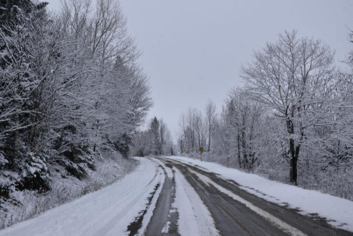 rouet enneigée le long des arbres