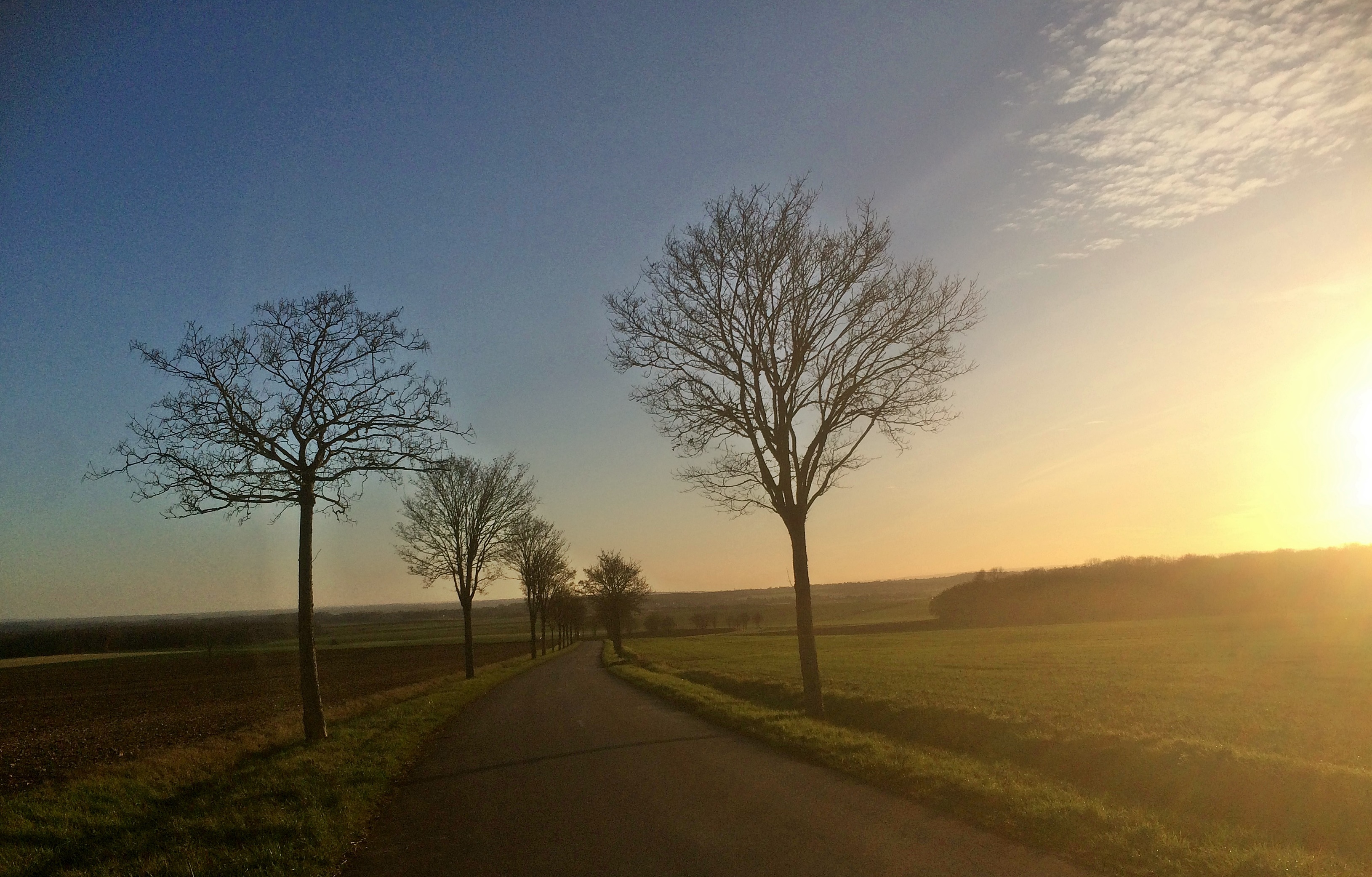 Paysage d'hiver  route de Dijon