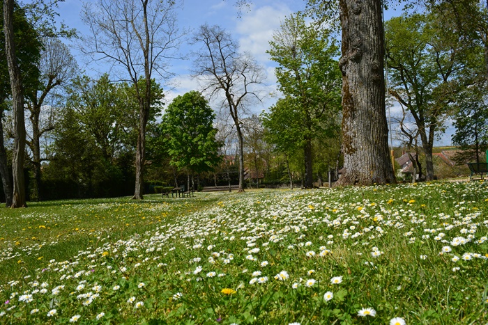 parc Noblot au printemps