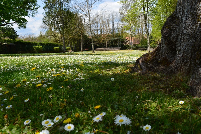 vue du parc Noblot 